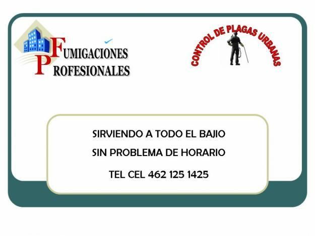 Sin Nombre